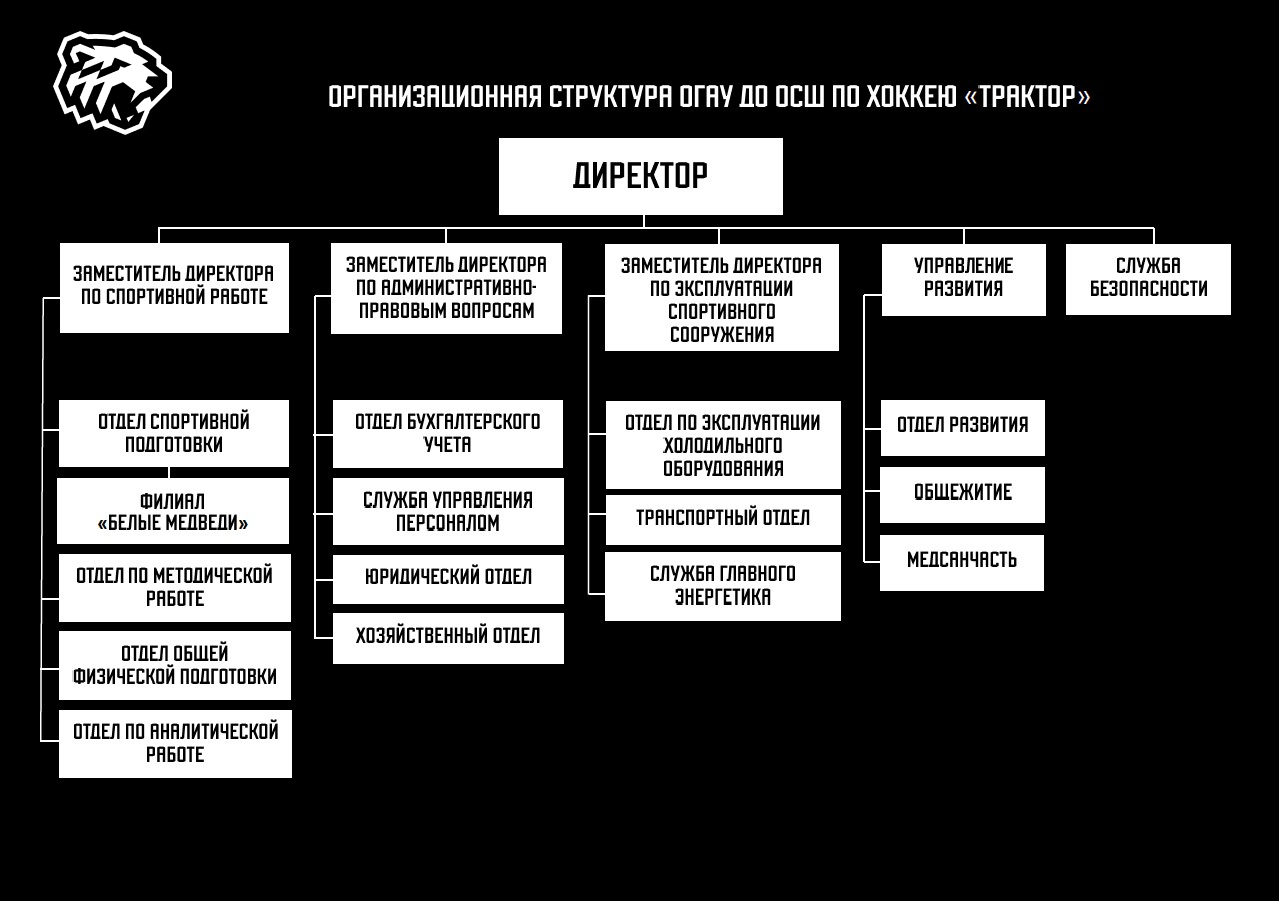 Структура и органы управления организацией